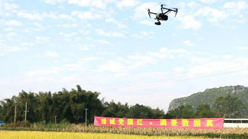 統準糧食數據有了“新武器” 無人機、大數據與智能化引領農業變革